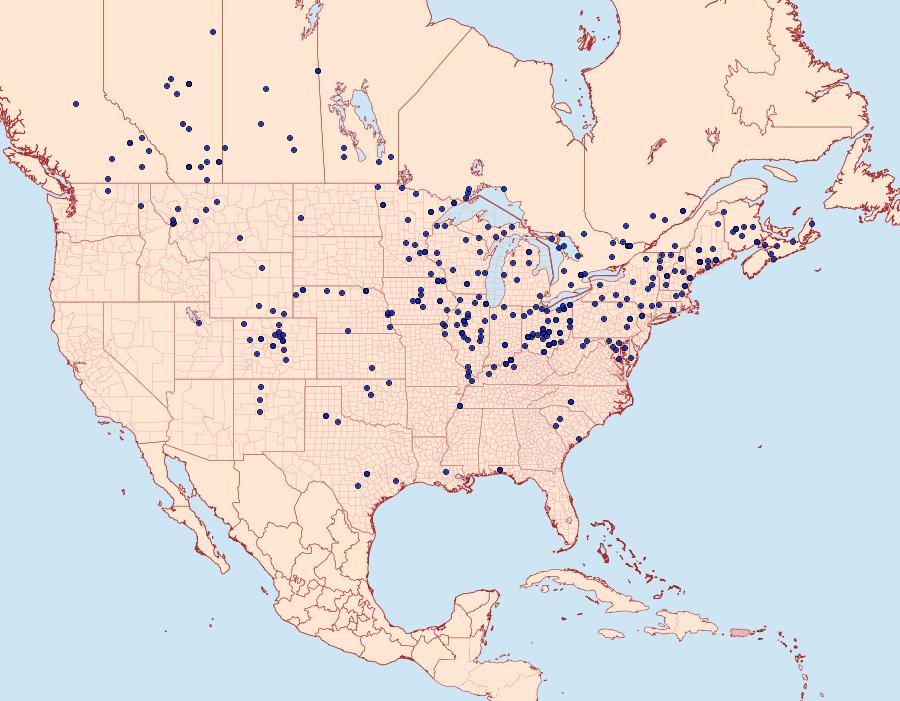 Distribution Data for Pachysphinx modesta