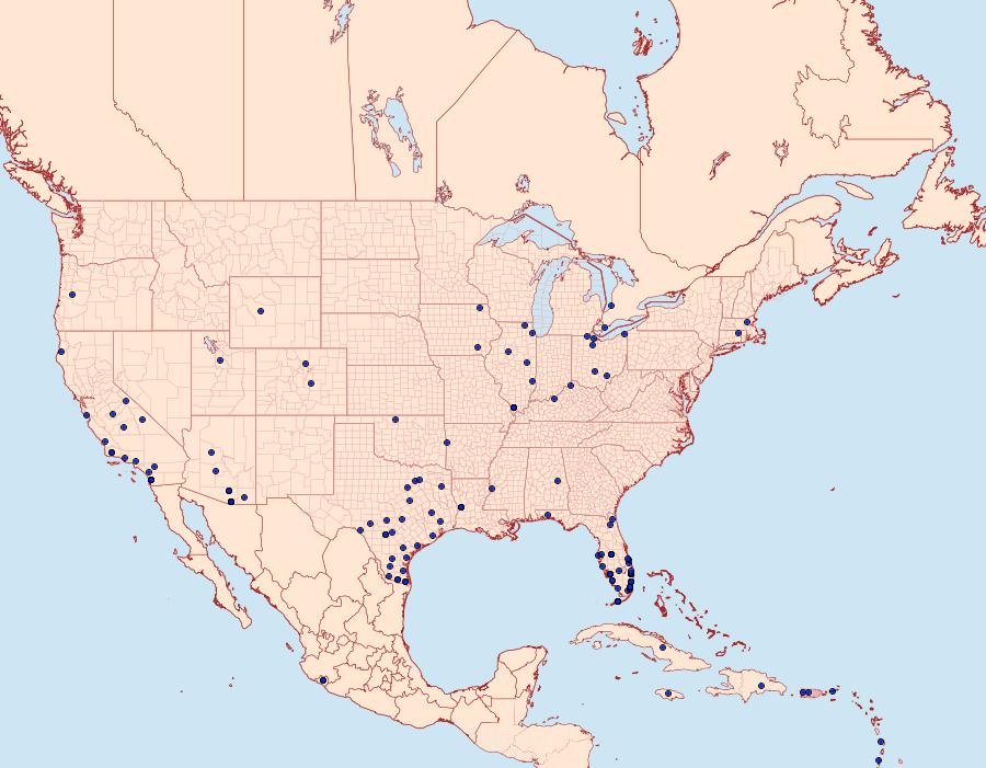 Distribution Data for Erinnyis ello