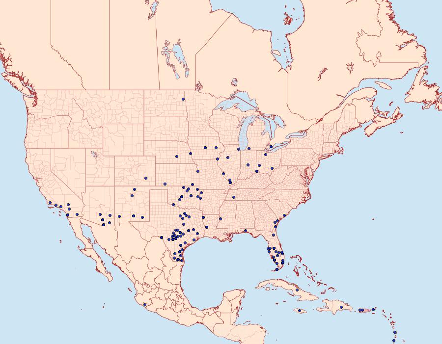 Distribution Data for Erinnyis obscura