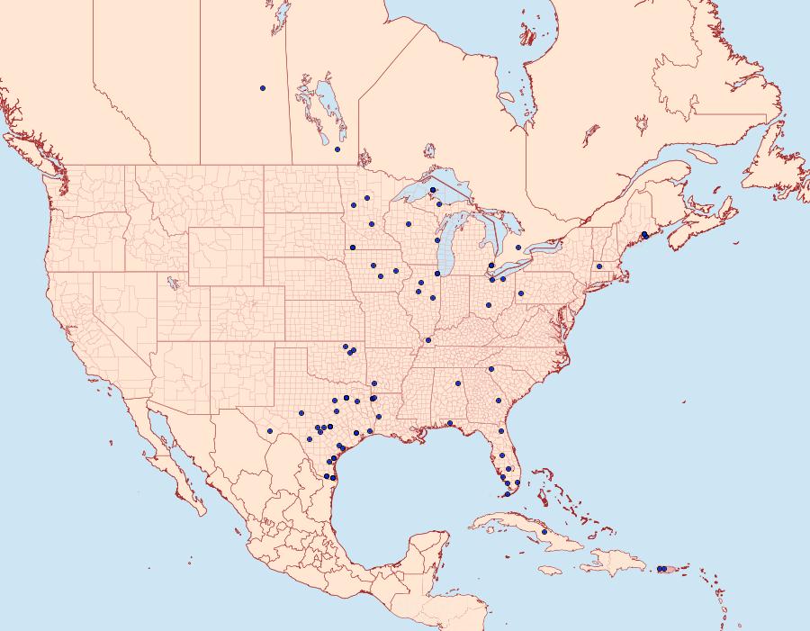 Distribution Data for Aellopos titan