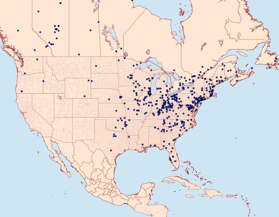 Distribution Data for Hemaris thysbe