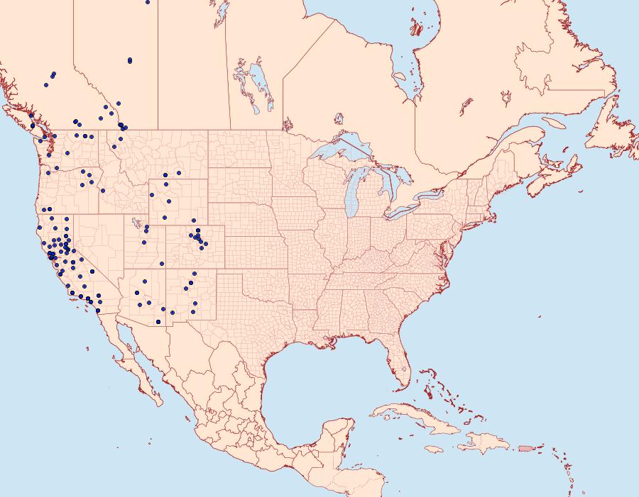 Distribution Data for Hemaris thetis