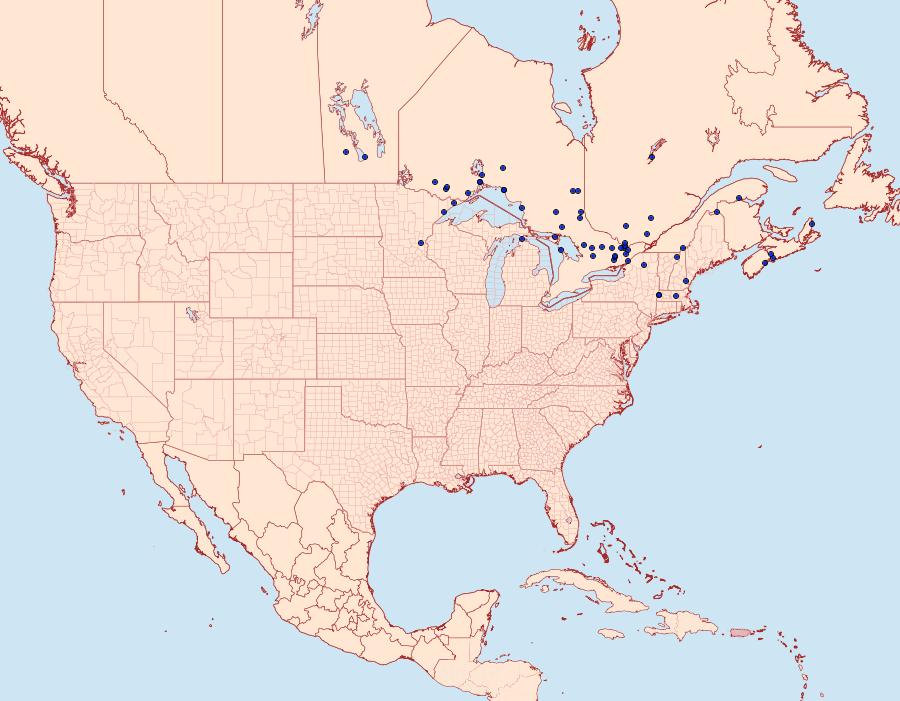 Distribution Data for Hemaris aethra