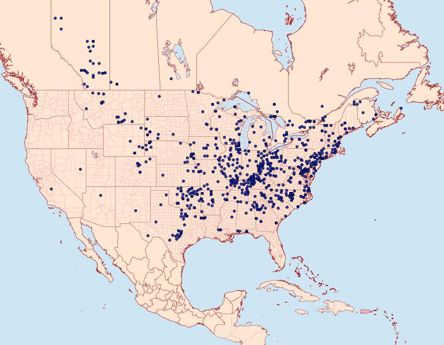 Distribution Data for Hemaris diffinis