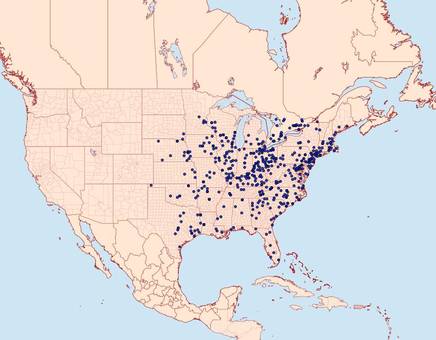 Distribution Data for Eumorpha pandorus