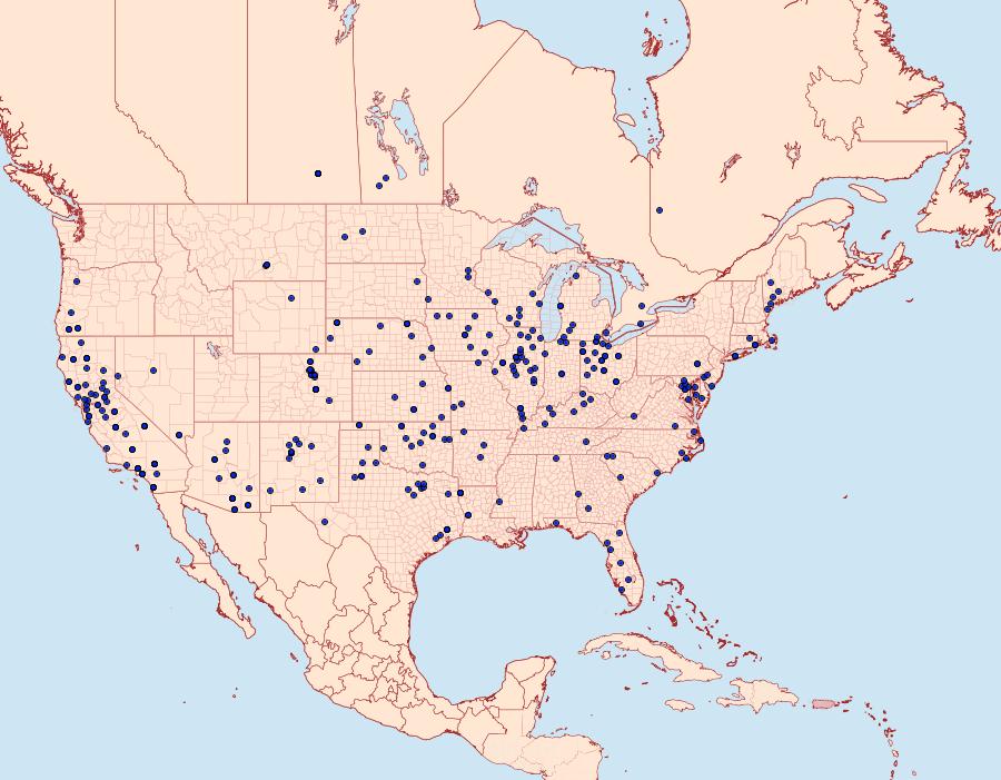 Distribution Data for Eumorpha achemon