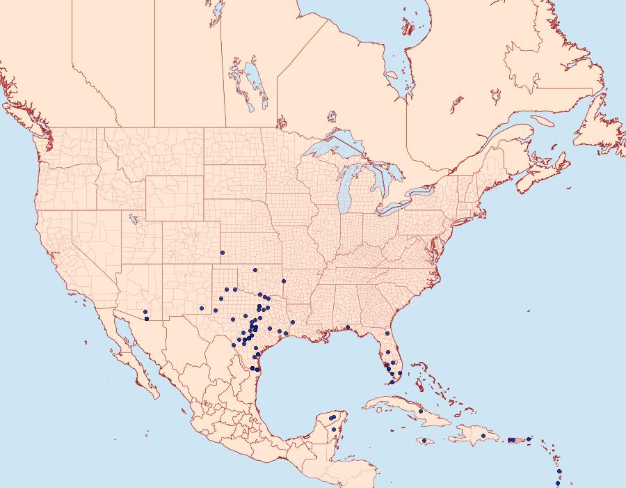 Distribution Data for Eumorpha vitis