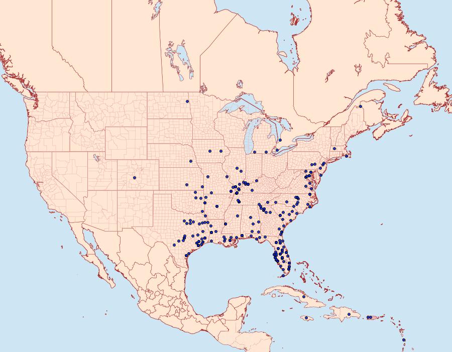 Distribution Data for Eumorpha fasciatus