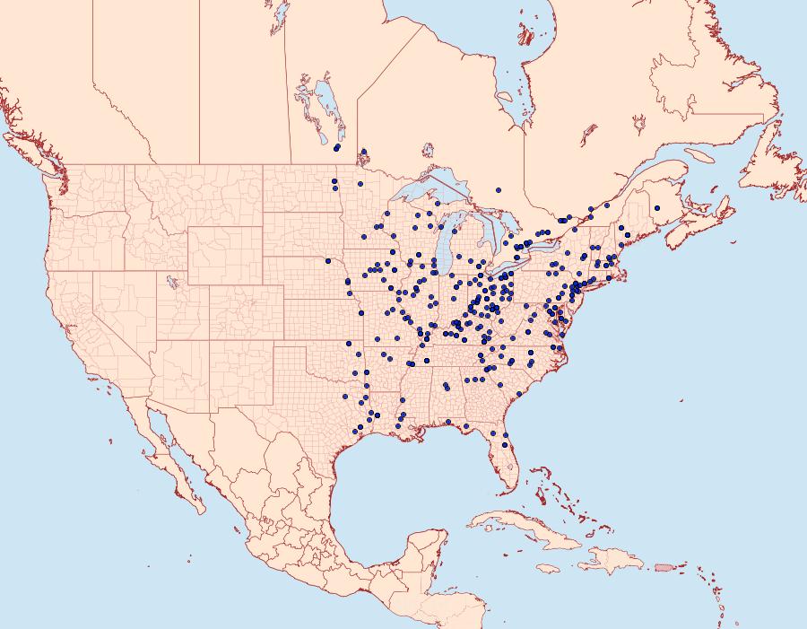 Distribution Data for Sphecodina abbottii