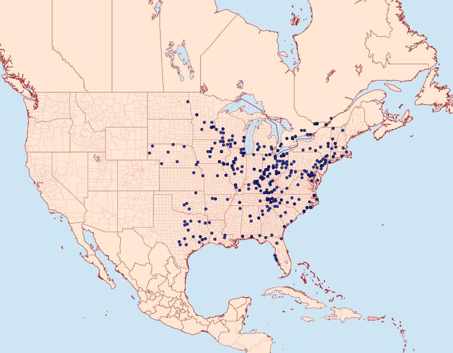 Distribution Data for Deidamia inscriptum