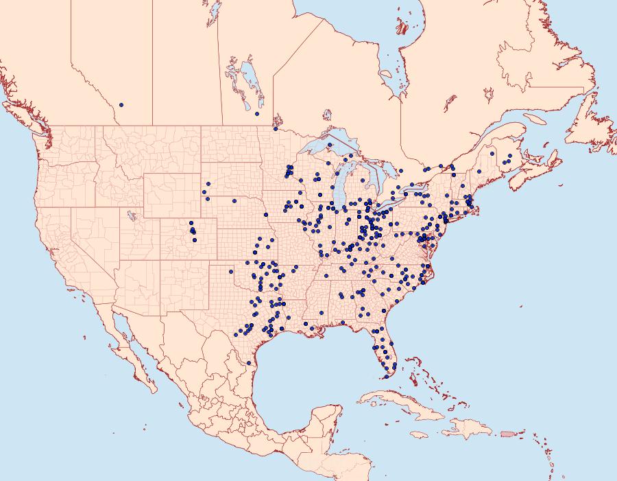 Distribution Data for Amphion floridensis