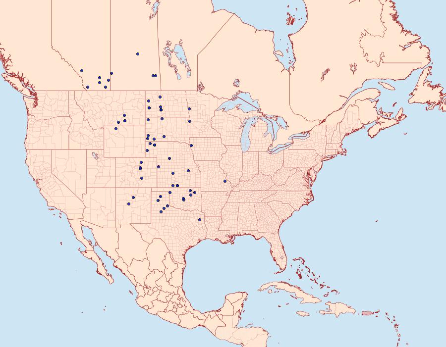 Distribution Data for Proserpinus juanita