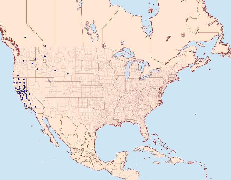 Distribution Data for Proserpinus clarkiae