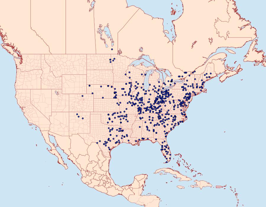 Distribution Data for Darapsa myron