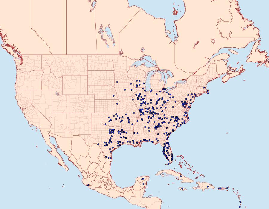 Distribution Data for Xylophanes tersa