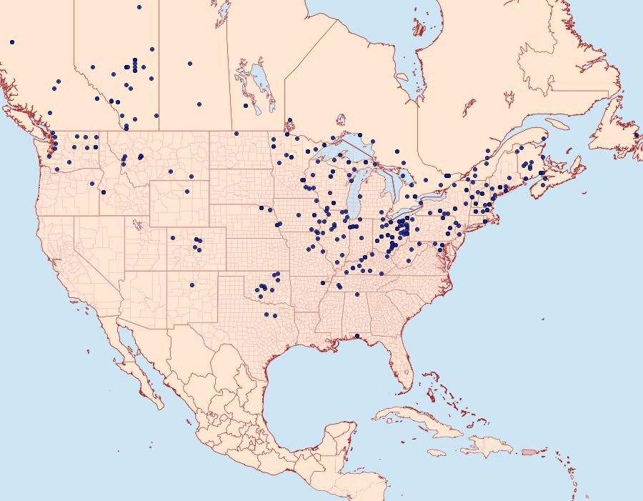 Distribution Data for Clostera albosigma