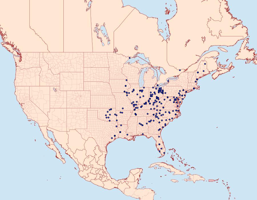 Distribution Data for Clostera inclusa