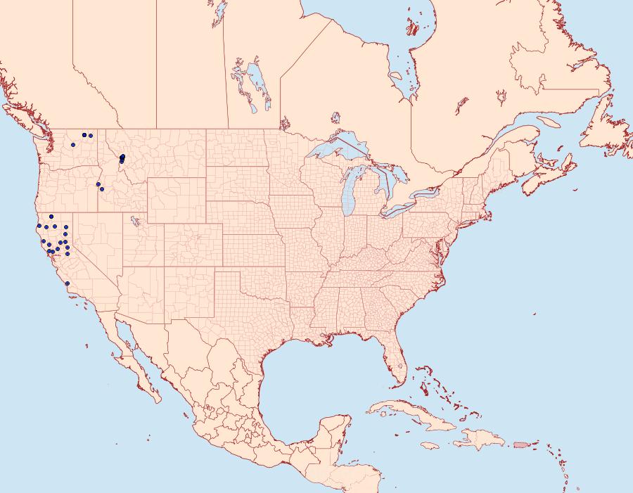 Distribution Data for Datana californica