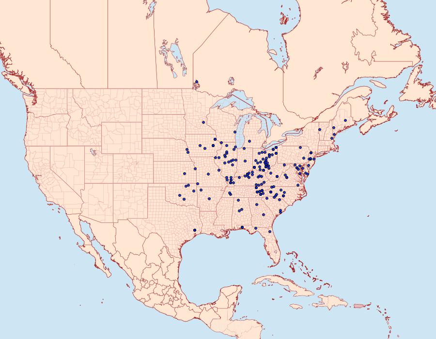 Distribution Data for Datana angusii