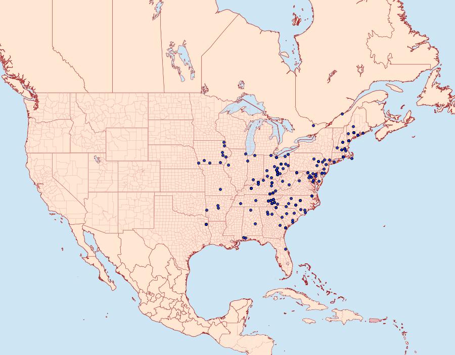 Distribution Data for Datana drexelii