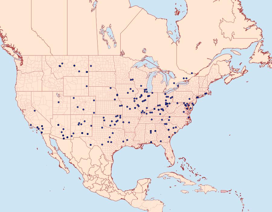 Distribution Data for Datana perspicua