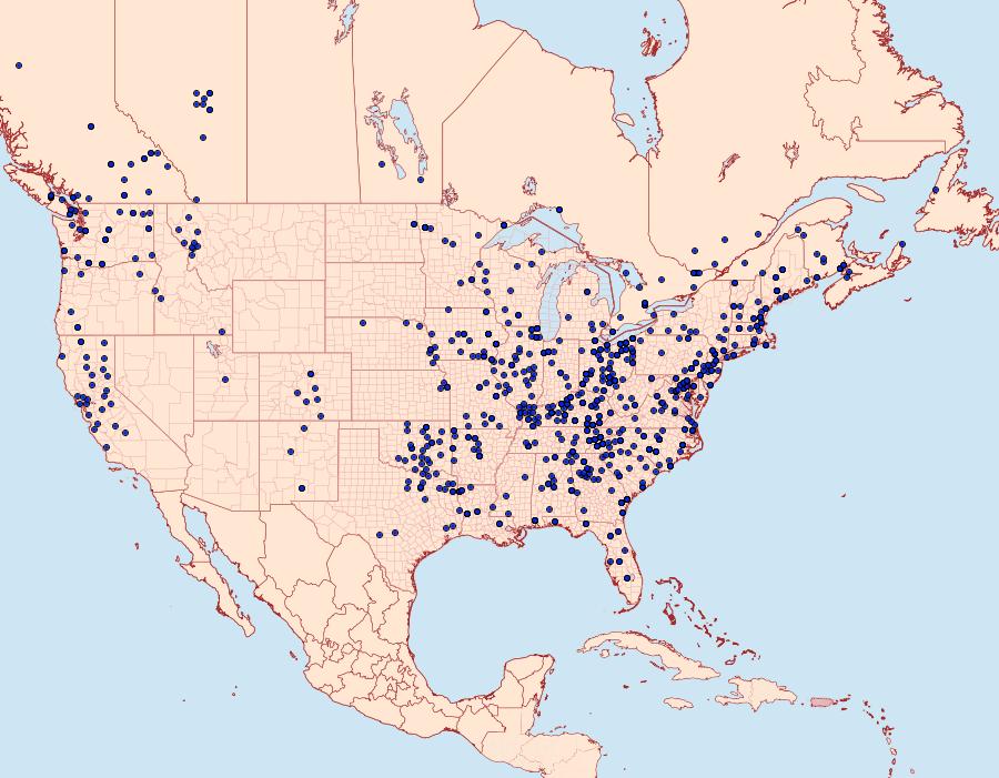 Distribution Data for Nadata gibbosa