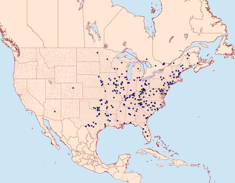 Distribution Data for Paraeschra georgica