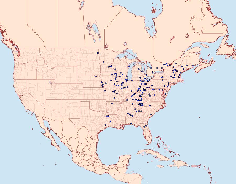 Distribution Data for Ellida caniplaga