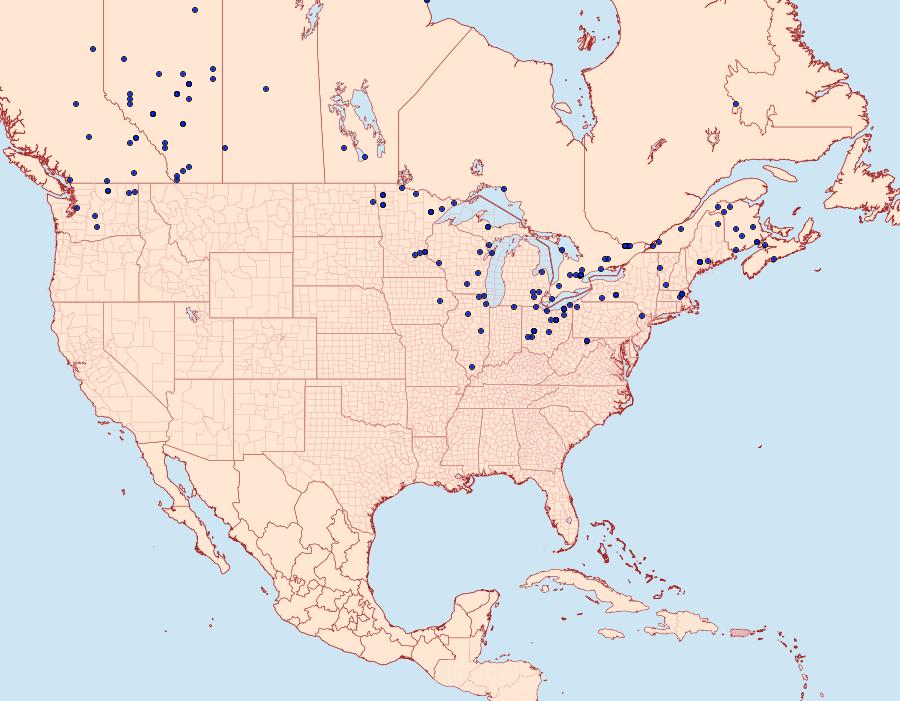 Distribution Data for Furcula occidentalis