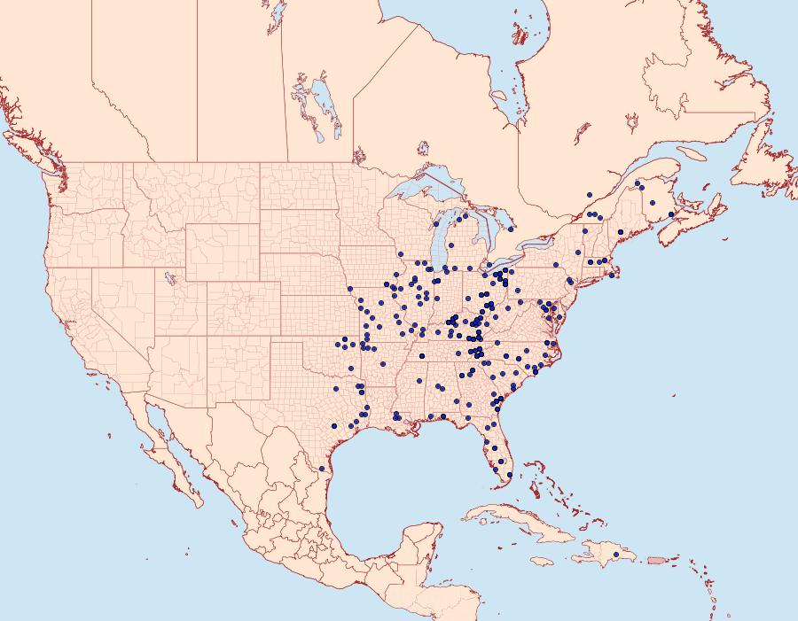 Distribution Data for Symmerista albifrons