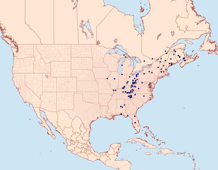 Distribution Data for Dasylophia thyatiroides