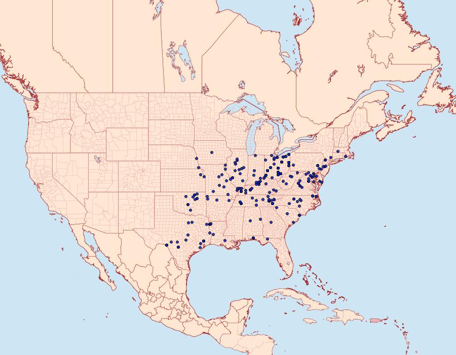 Distribution Data for Misogada unicolor