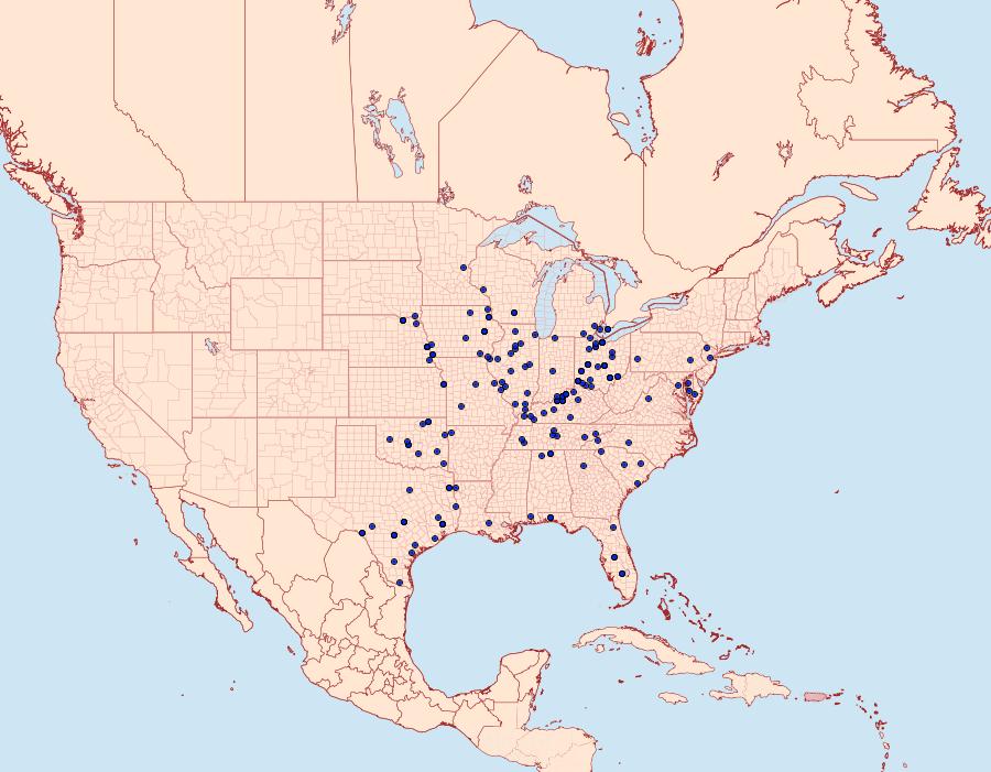 Distribution Data for Rifargia subrotata