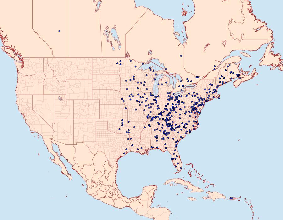 Distribution Data for Cecrita guttivitta