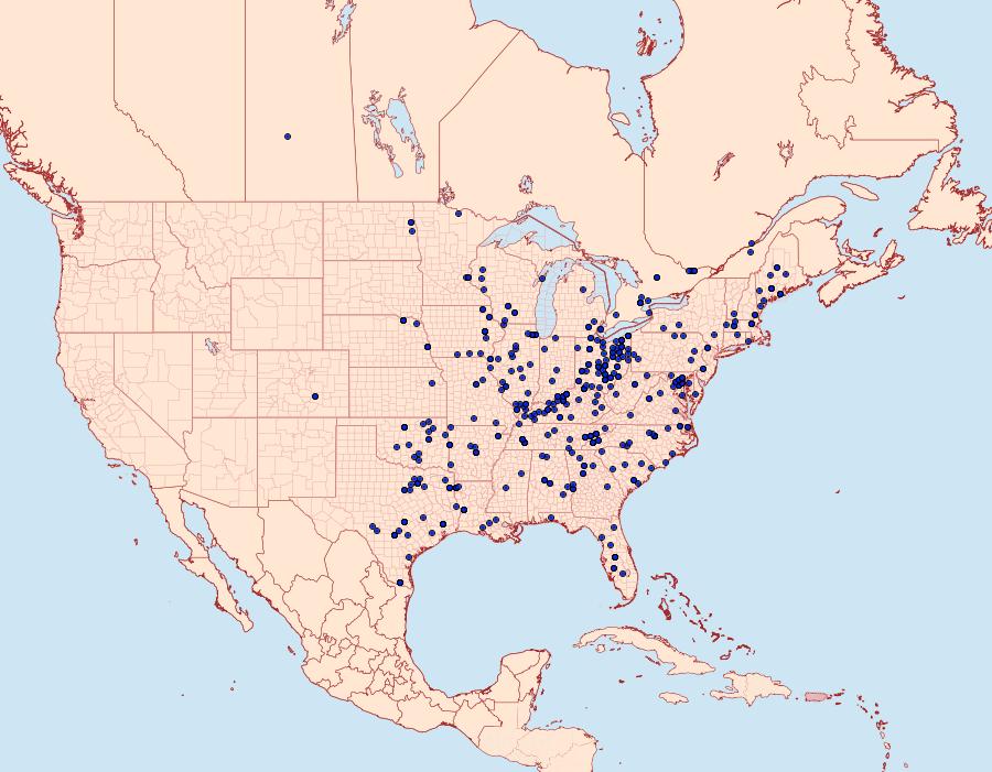 Distribution Data for Lochmaeus bilineata