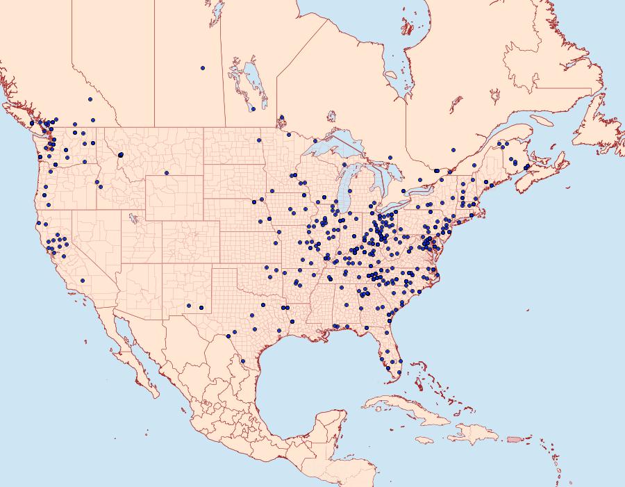 Distribution Data for Schizura ipomaeae