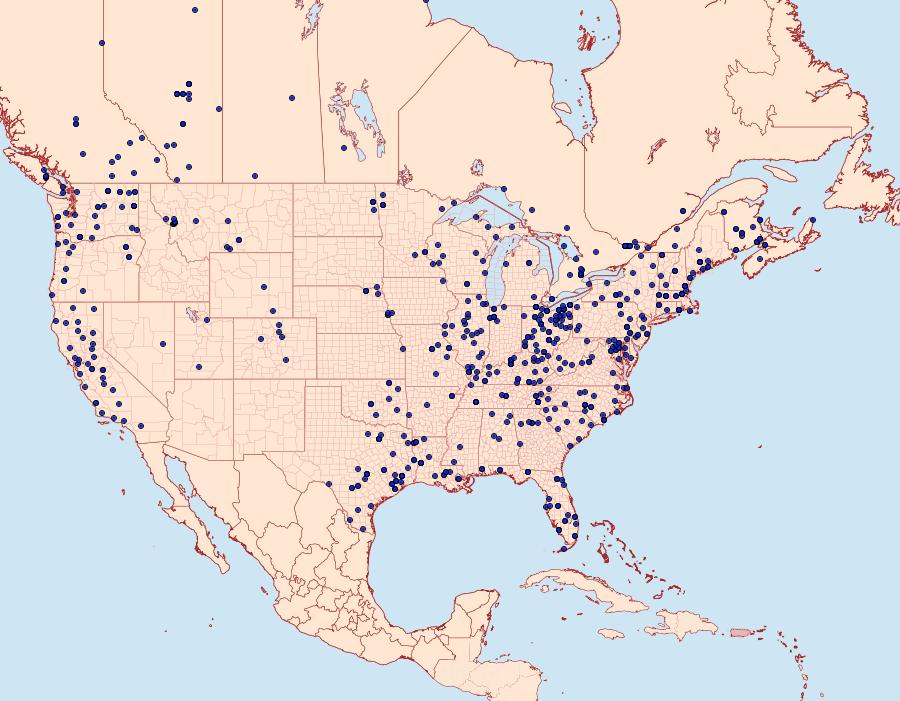 Distribution Data for Coelodasys unicornis