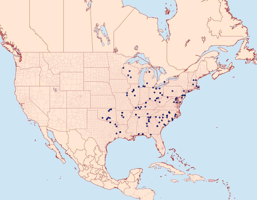 Distribution Data for Hyparpax aurora