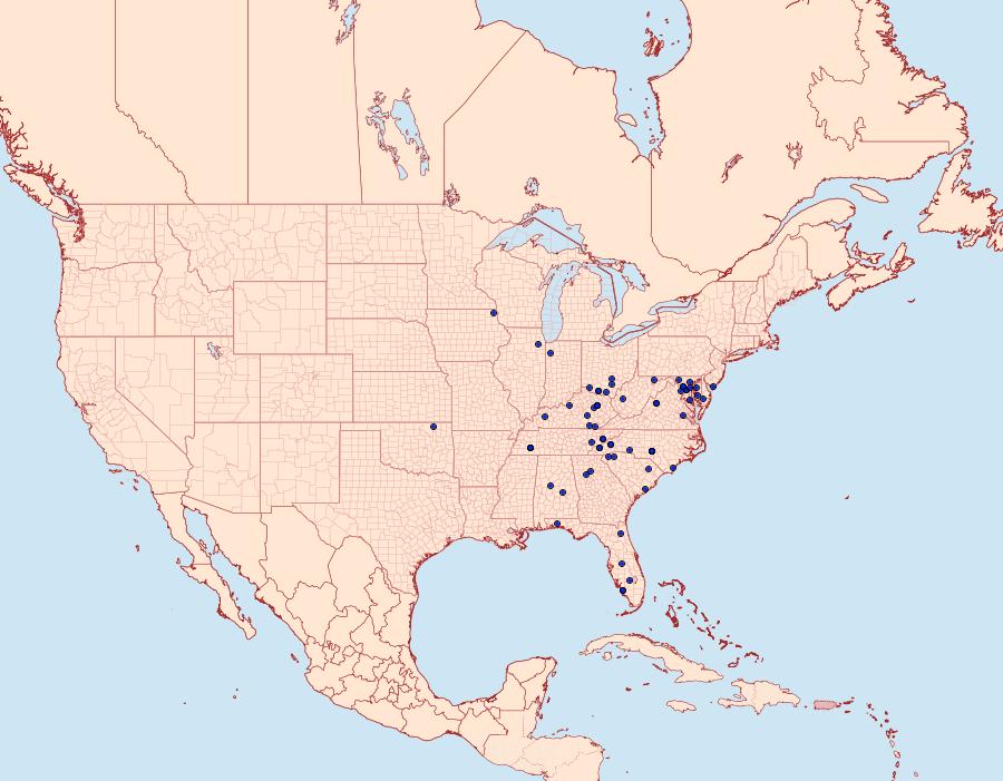 Distribution Data for Crambidia uniformis