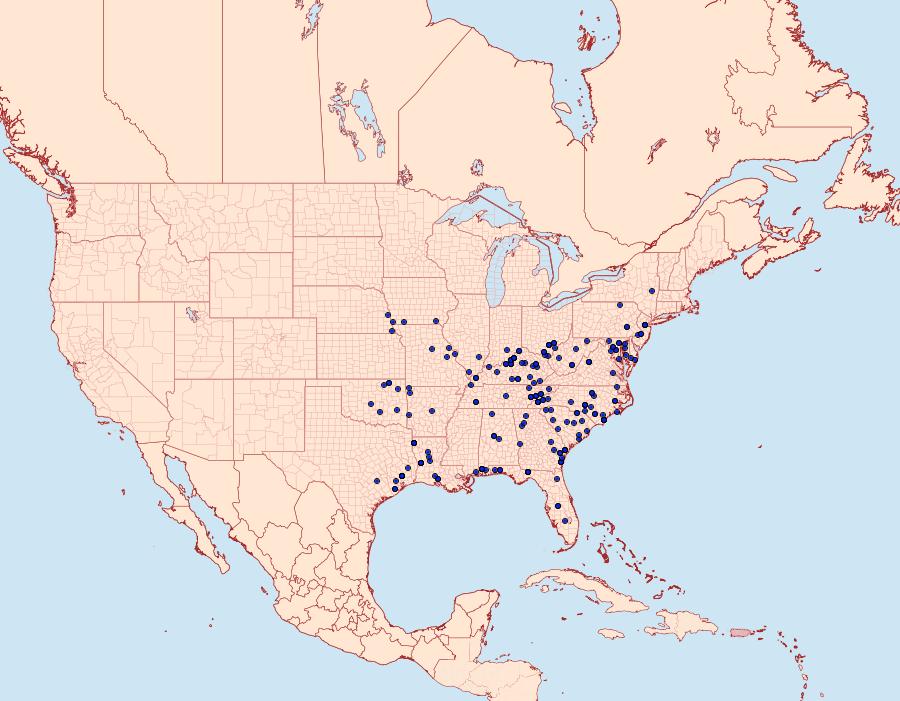 Distribution Data for Cisthene plumbea