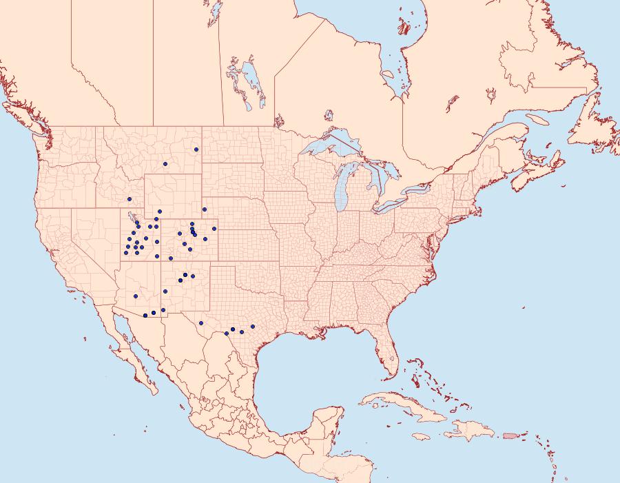 Distribution Data for Cisthene barnesii