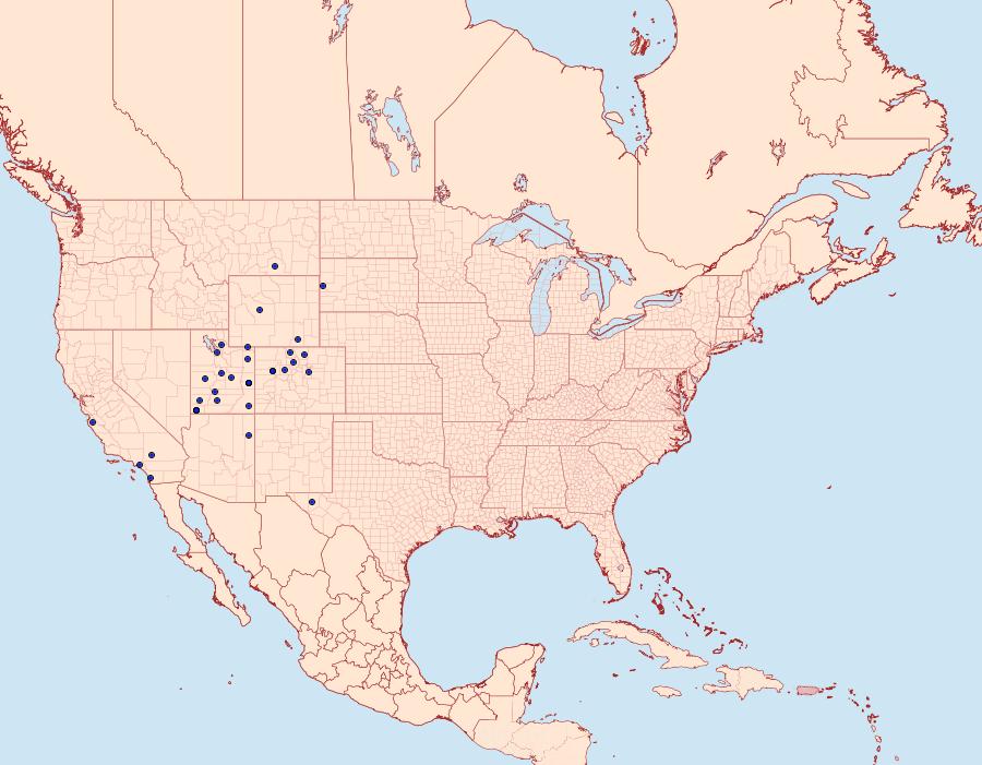 Distribution Data for Lycomorpha grotei