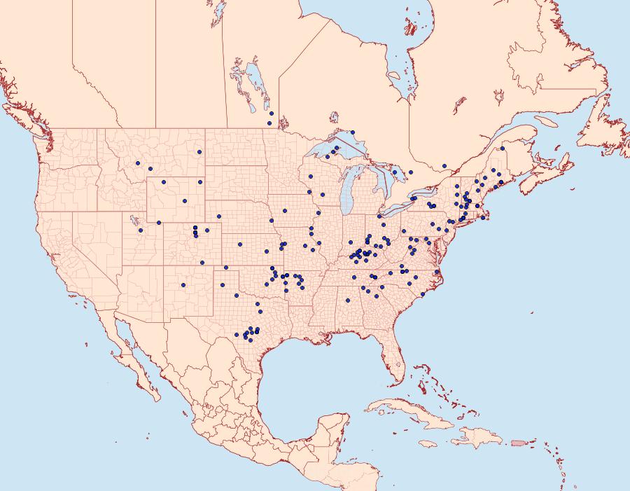 Distribution Data for Lycomorpha pholus