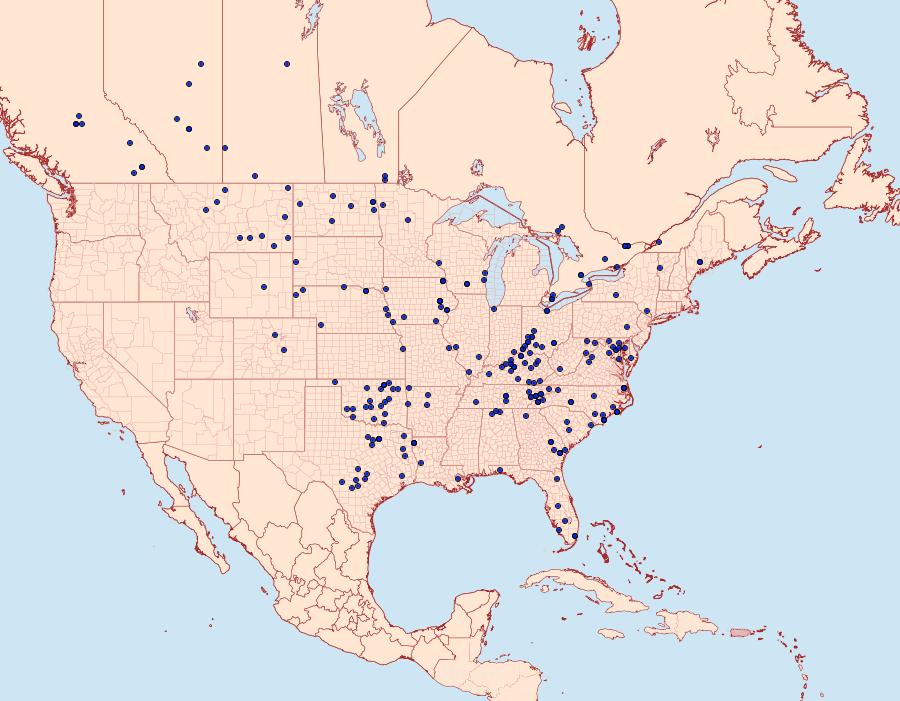 Distribution Data for Hypoprepia miniata