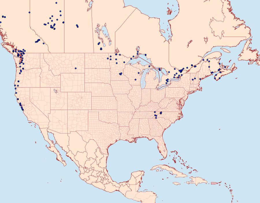 Distribution Data for Clemensia umbrata