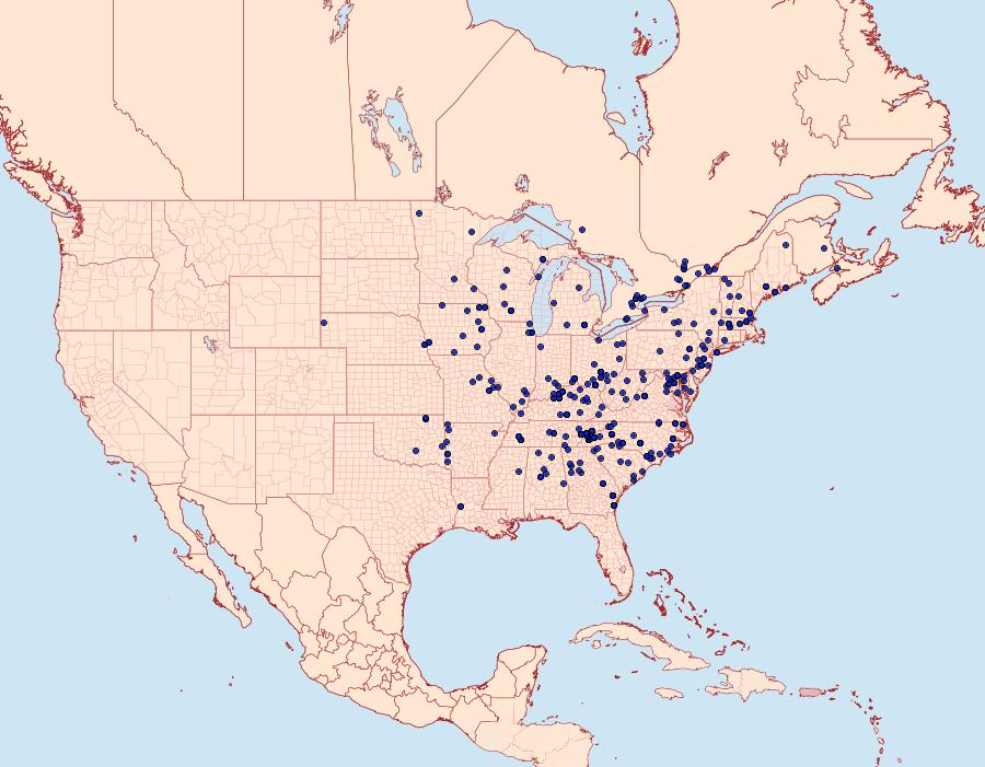 Distribution Data for Clemensia albata