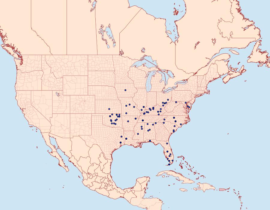 Distribution Data for Pagara simplex