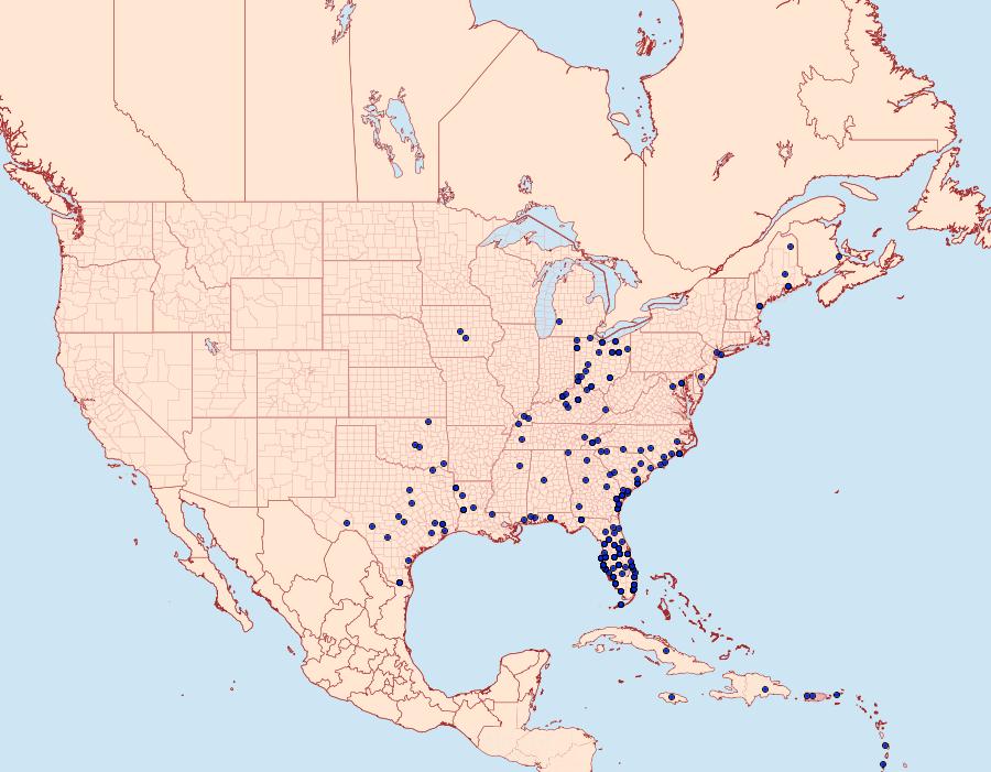 Distribution Data for Utetheisa ornatrix