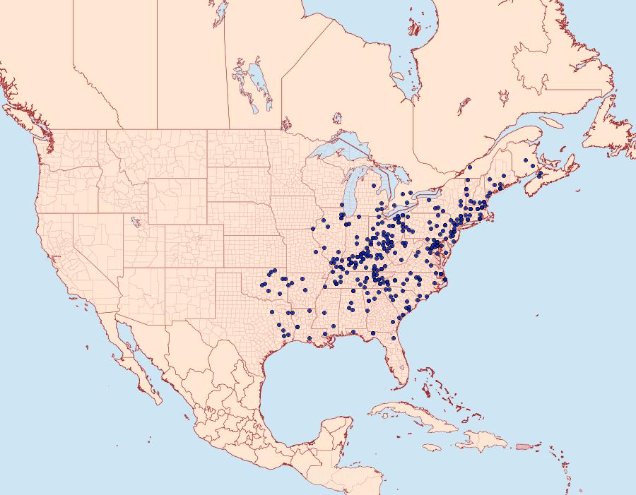 Distribution Data for Haploa clymene