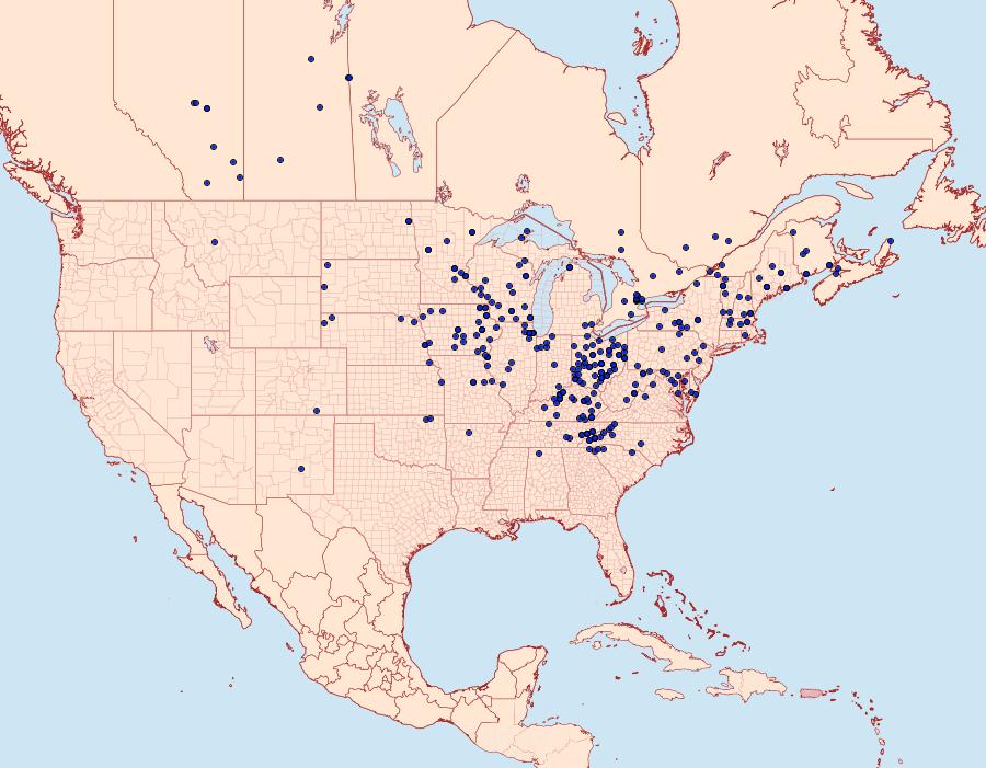 Distribution Data for Haploa lecontei